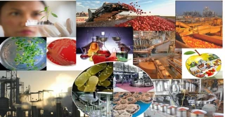 جدول دروس مجموعه واحد های رشته کاردانی صنایع غذایی