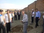 درختکاری