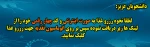 تغذیه
