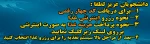 سیستم تغذیه