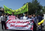 روز قدس 95