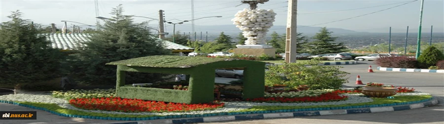 پارک-جنگلی-
