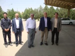 بازدید