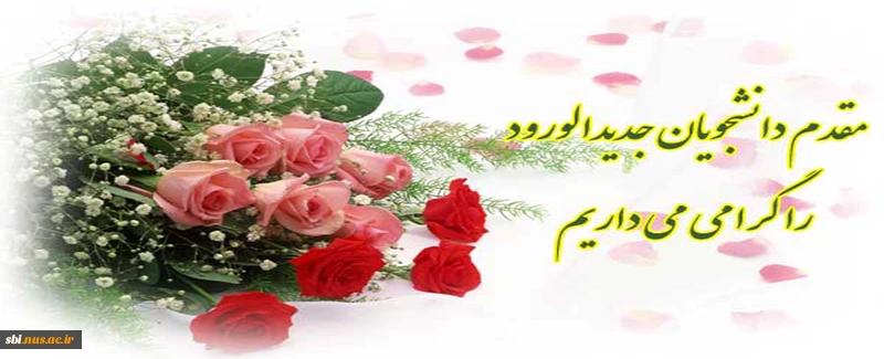 خوش آمد گویی