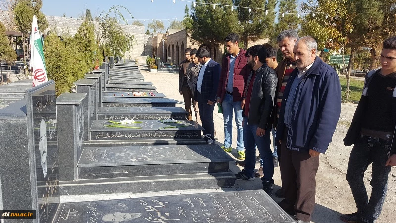 پیاده روی