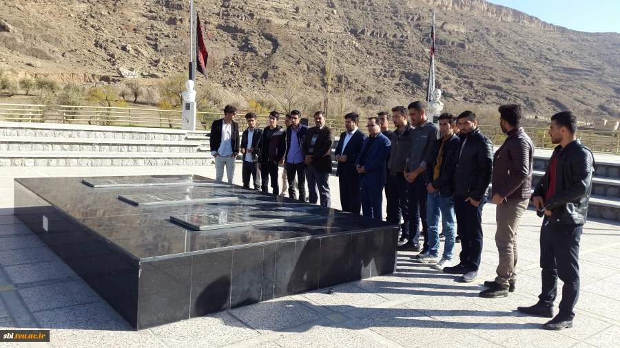 بازدید