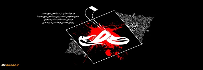 فاطمیه 96