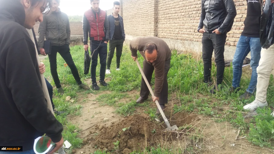 درختکاری 97