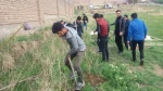 درختکاری 97