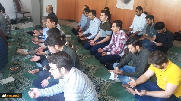 امام حسن