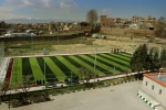 زمین چمن
