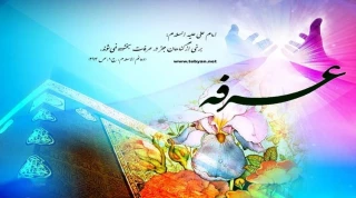 عرفه