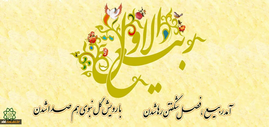 ربیع